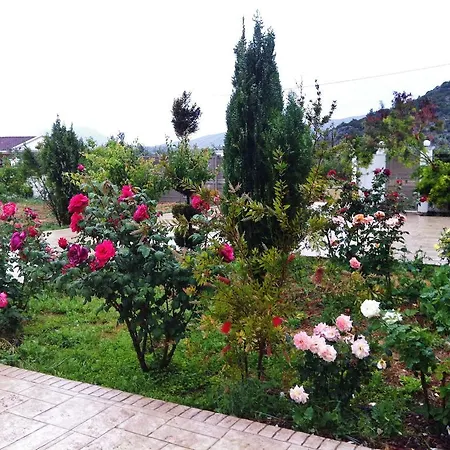 Holiday home Villa Georgia With Pool Athikia