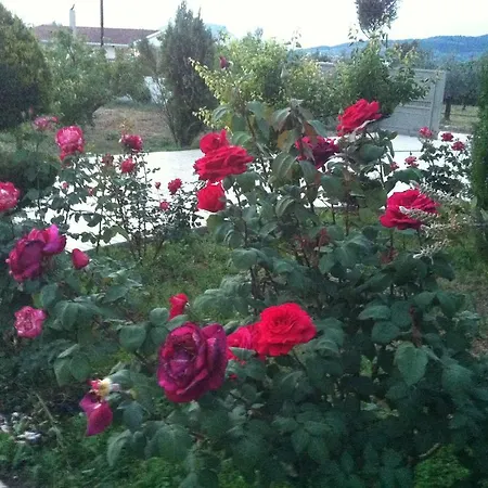 Villa Georgia With Pool