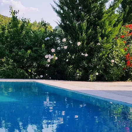 Holiday home Villa Georgia With Pool