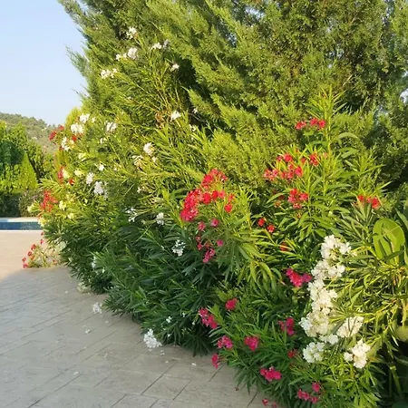 Villa Georgia With Pool Holiday home *