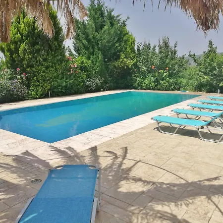 Holiday home Villa Georgia With Pool Athikia