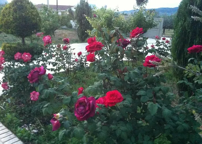 Villa Georgia With Pool