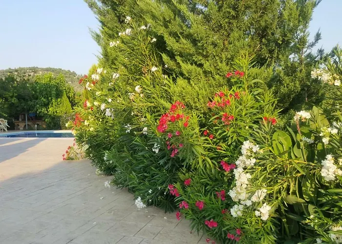 Villa Georgia With Pool Semesterbostad *